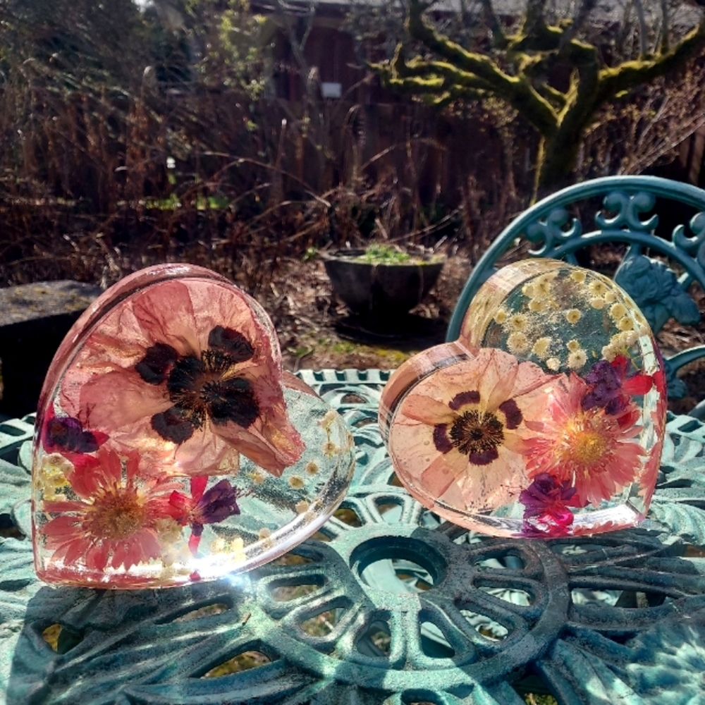 REAL FLOWER Giant Pressed Poppy & Daisy heart book ends!💗✨️💟 Very UNIQUE